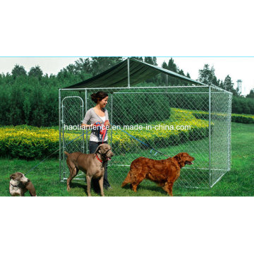 Cadena al aire libre Dog Kennel con techo para la venta al por mayor